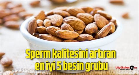 Sperm sayısı ve kalitesini artıran 10 sihirli takviye .